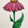 Echinacea Purpurea Coneflower Original Floral Acrylic Painting by Brandi Bruggman.