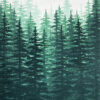 Pine Tree Forest Fade 2 - by Artist Brandi Bruggman