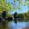 Springtime on the Schroon River - Adirondack Digital Landscape Art Print by Brandi Bruggman